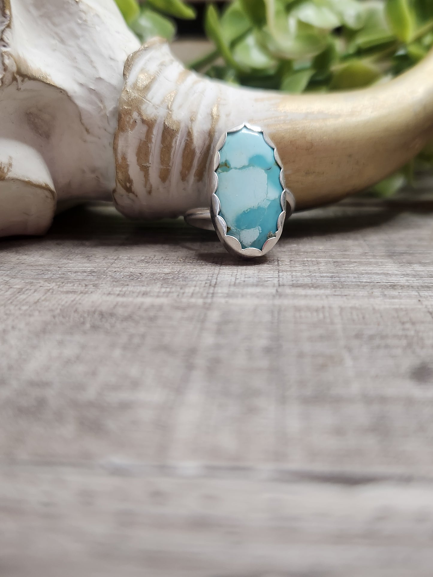 Pilot Mountain Turquoise • Sterling Silver