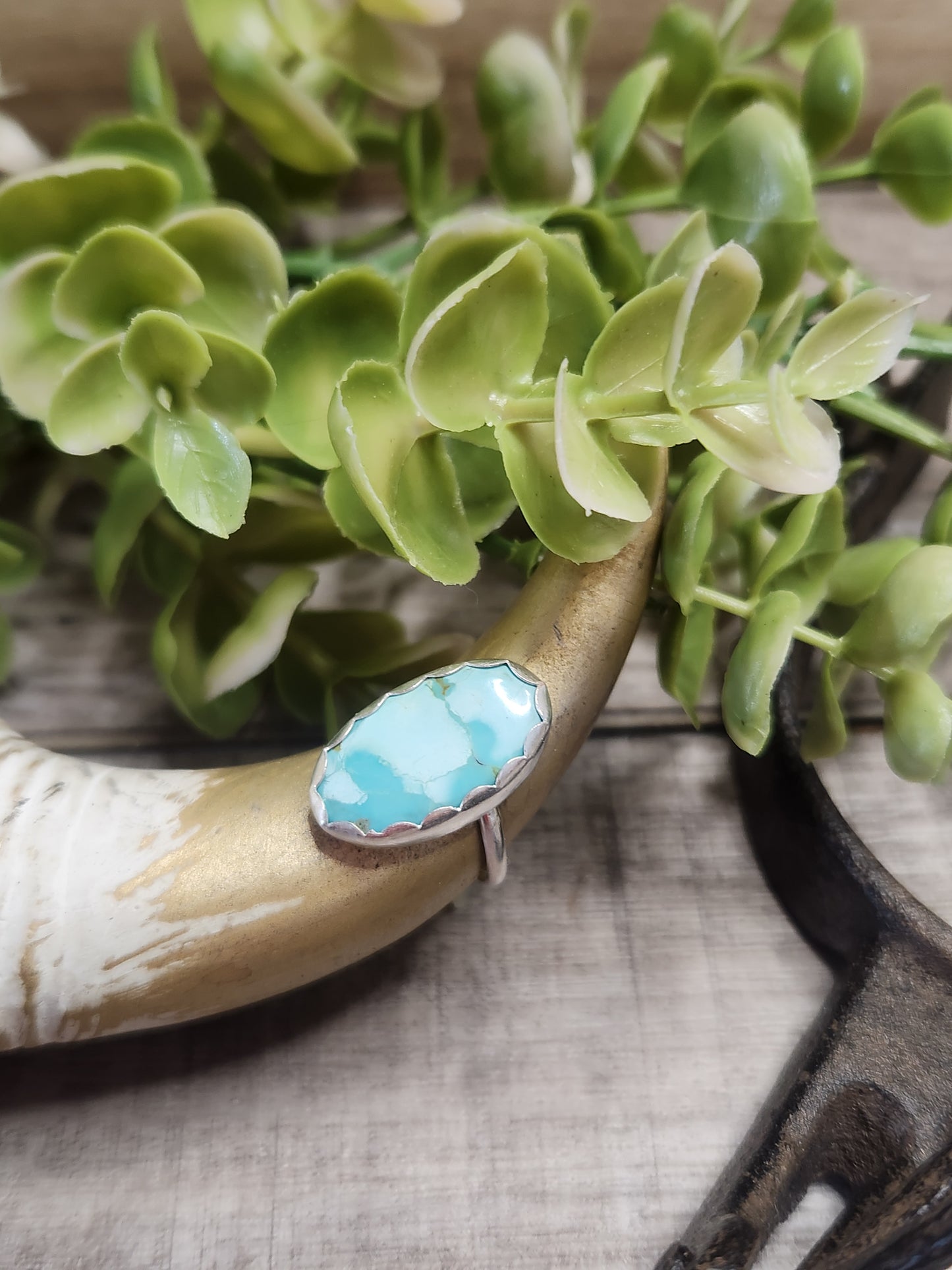 Pilot Mountain Turquoise • Sterling Silver