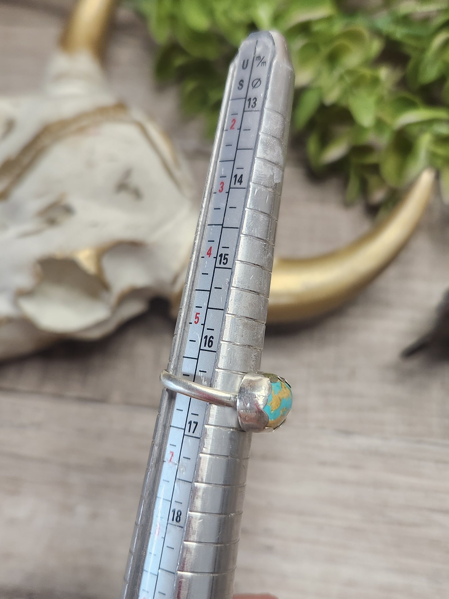 Royston Turquoise • Sterling Silver