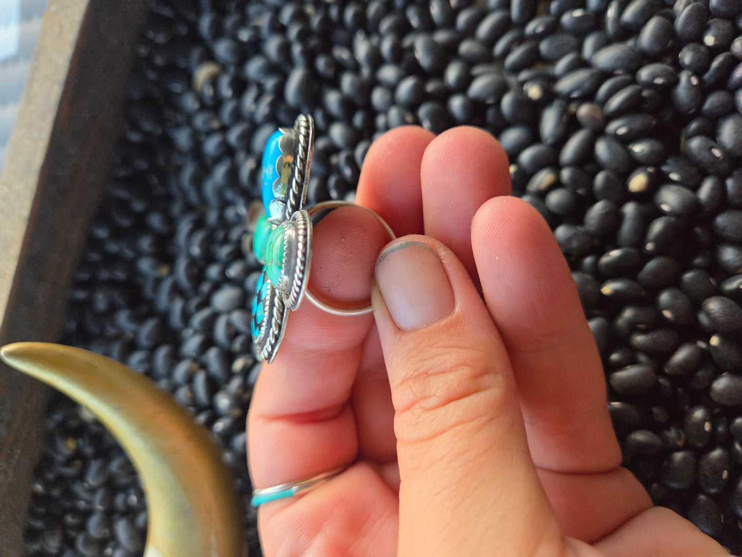 Blue Bird and Emerald Valley Turquoise & Checker Stone Size 8