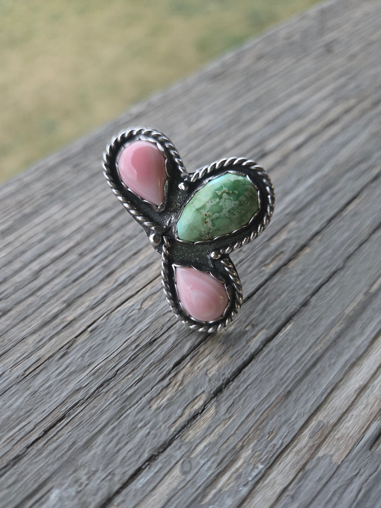 Pink Conch • Sonoran Mountain • Size 6