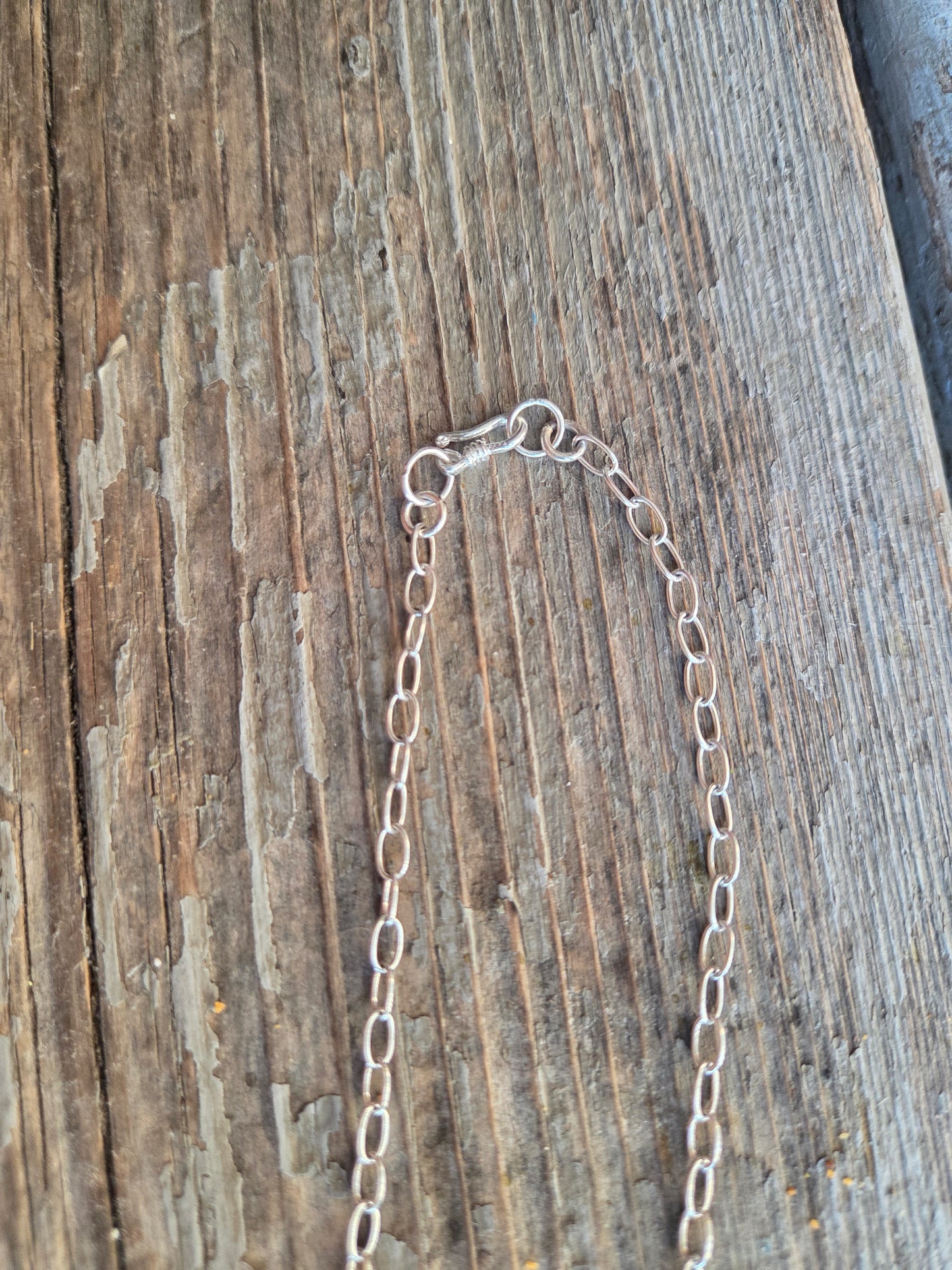 Buffalo Coin & Palomino 17 inches