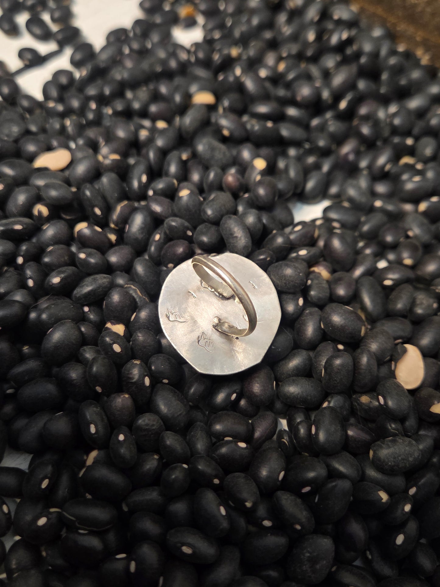 Buffalo Coin Size 5.5