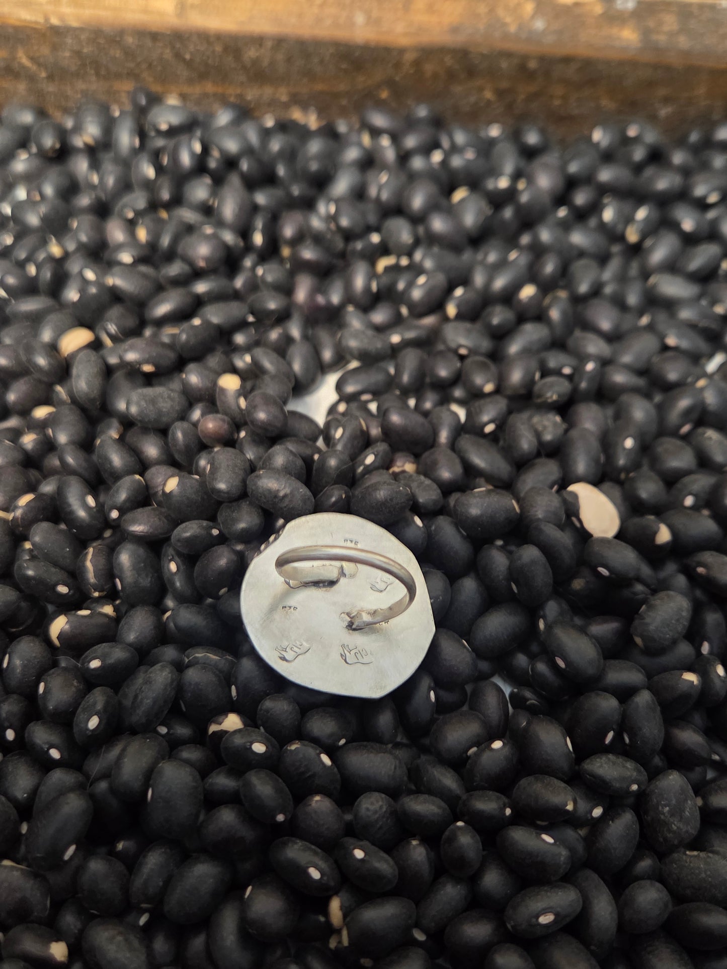 Buffalo Coin Size 5.5