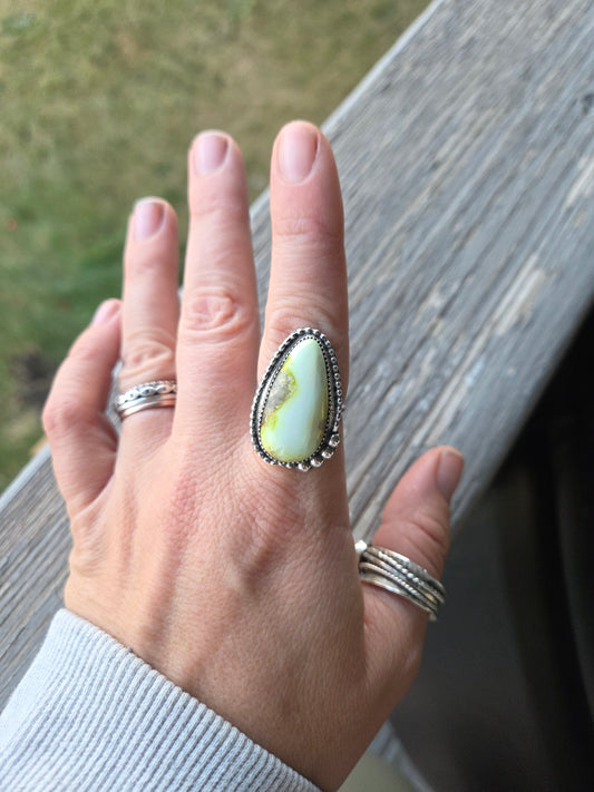 Palomino • Size 7.5