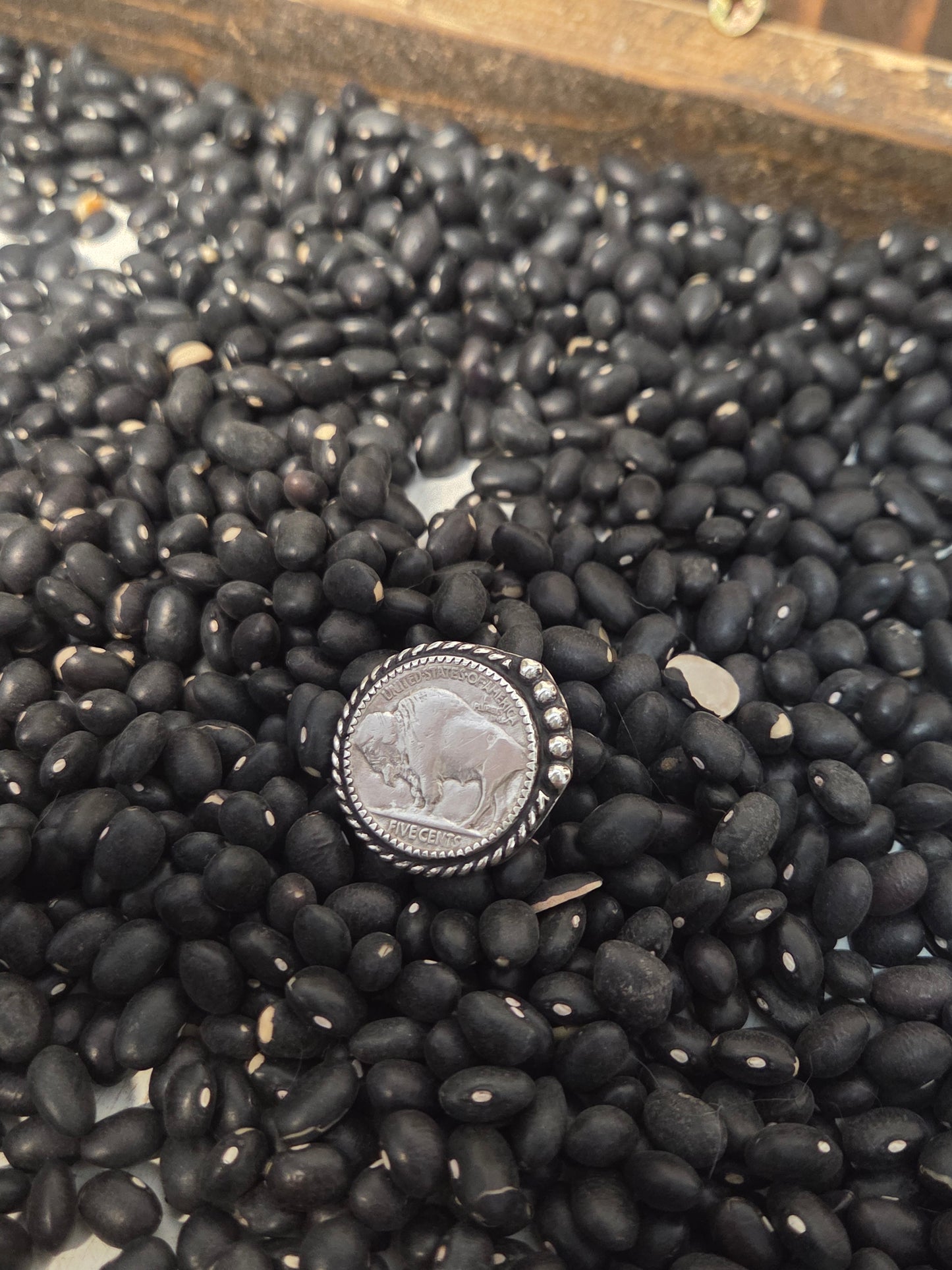 Buffalo Coin Size 5.5