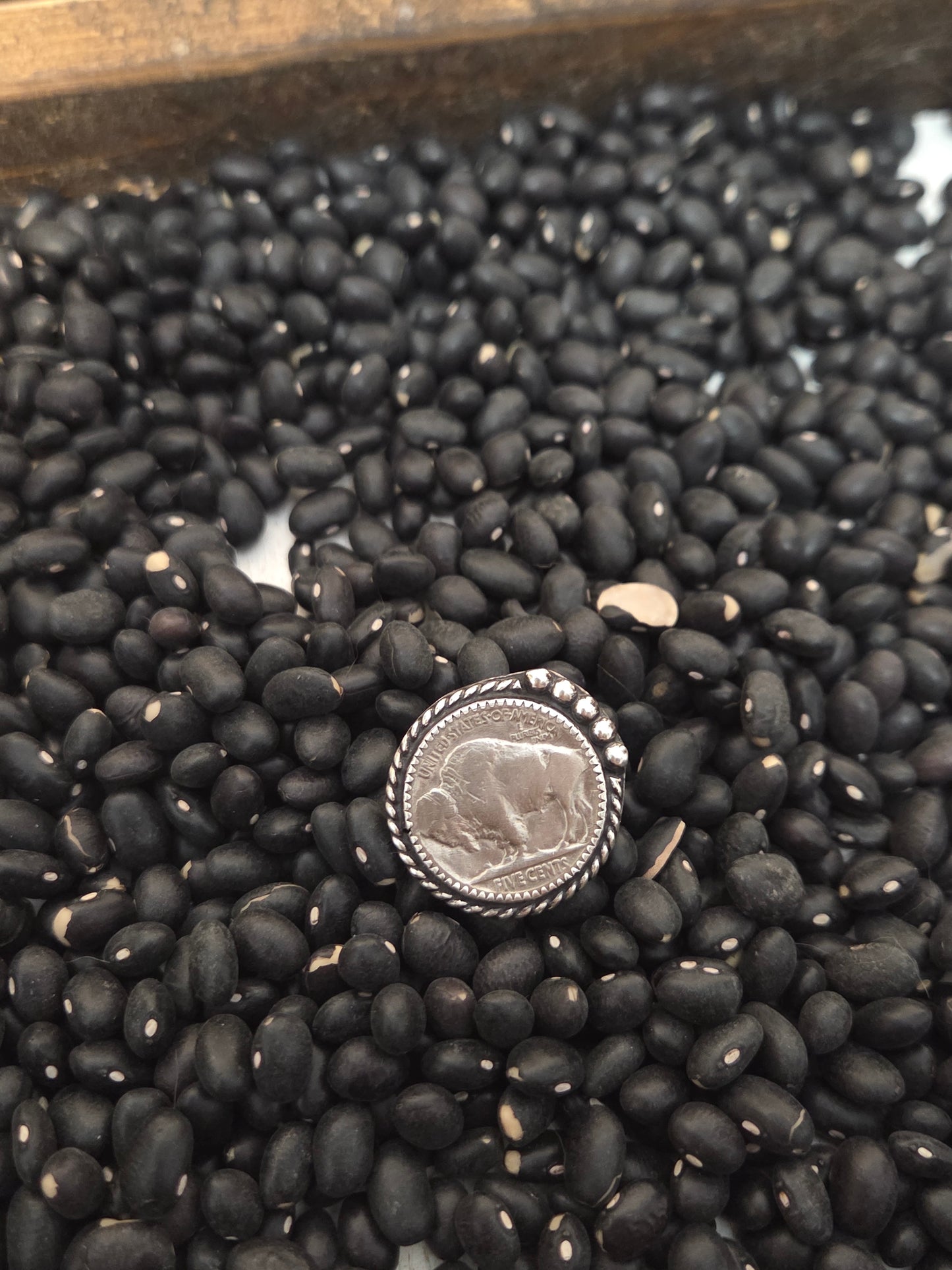 Buffalo Coin Size 5.5