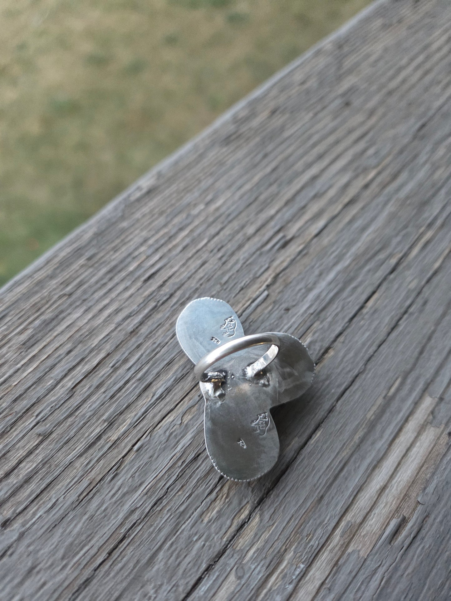 Pink Conch • Sonoran Mountain • Size 6