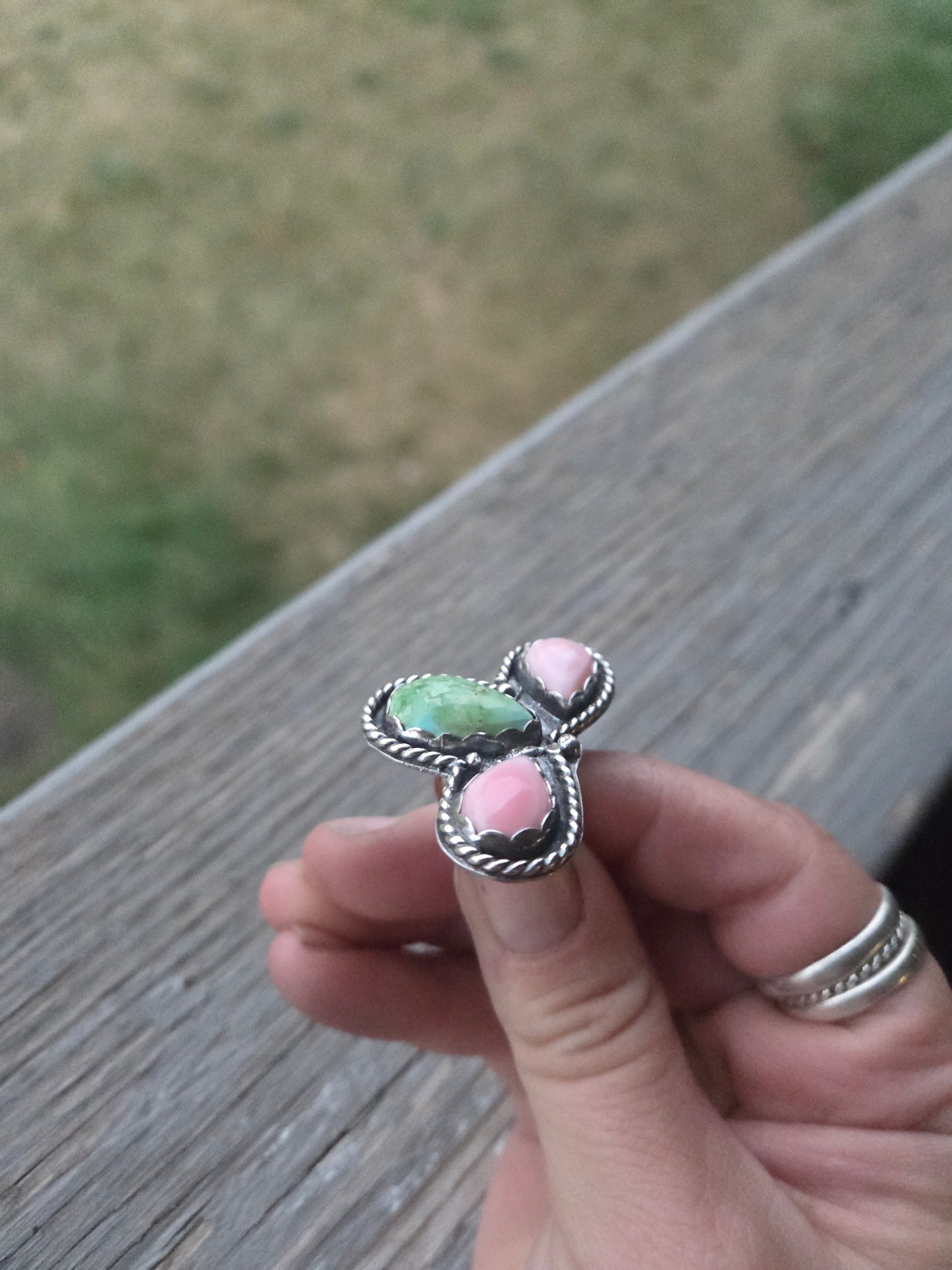 Pink Conch • Sonoran Mountain • Size 6