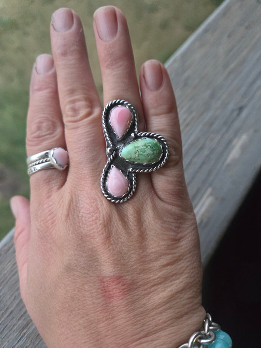 Pink Conch • Sonoran Mountain • Size 6