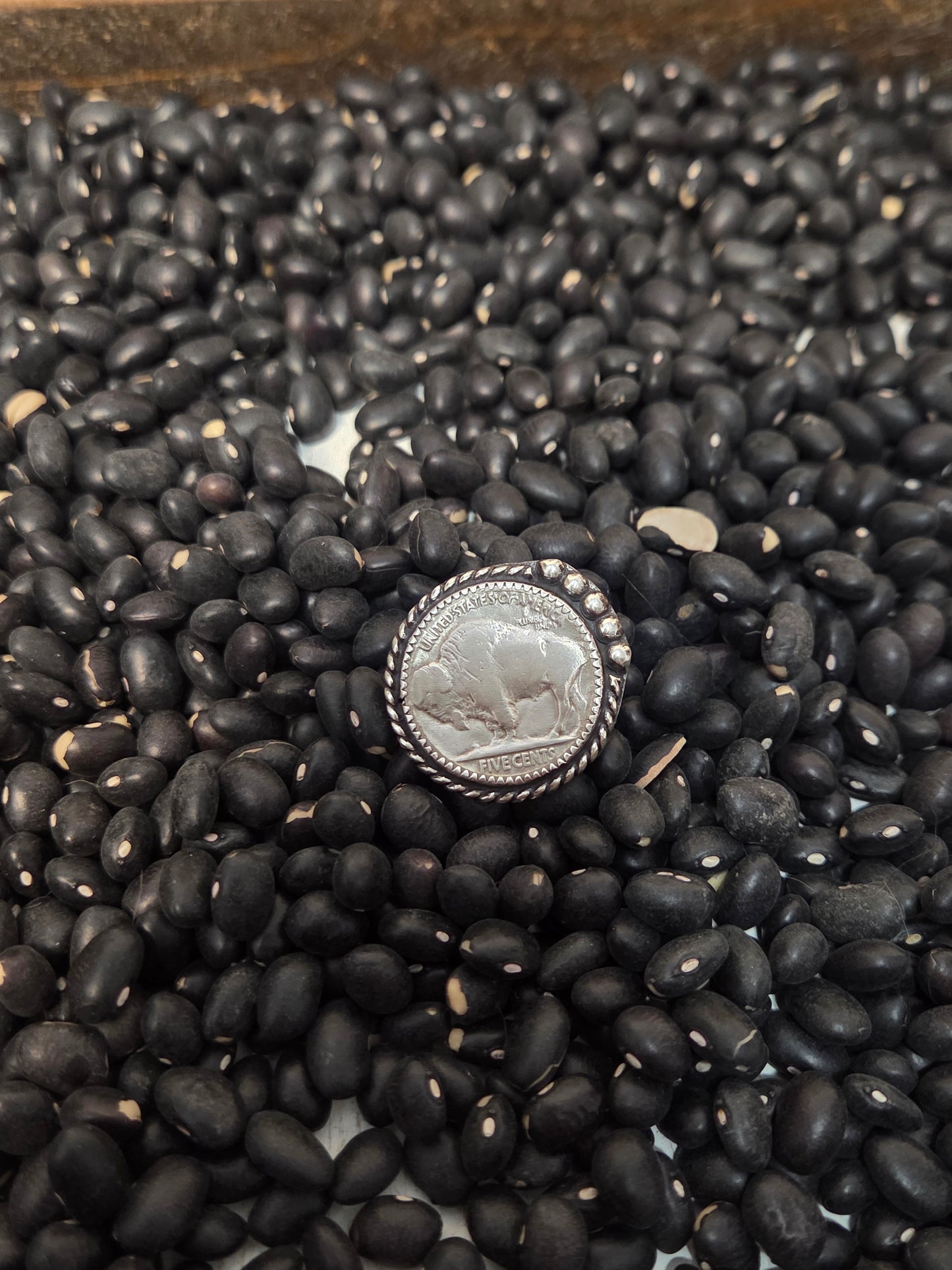 Buffalo Coin Size 5.5