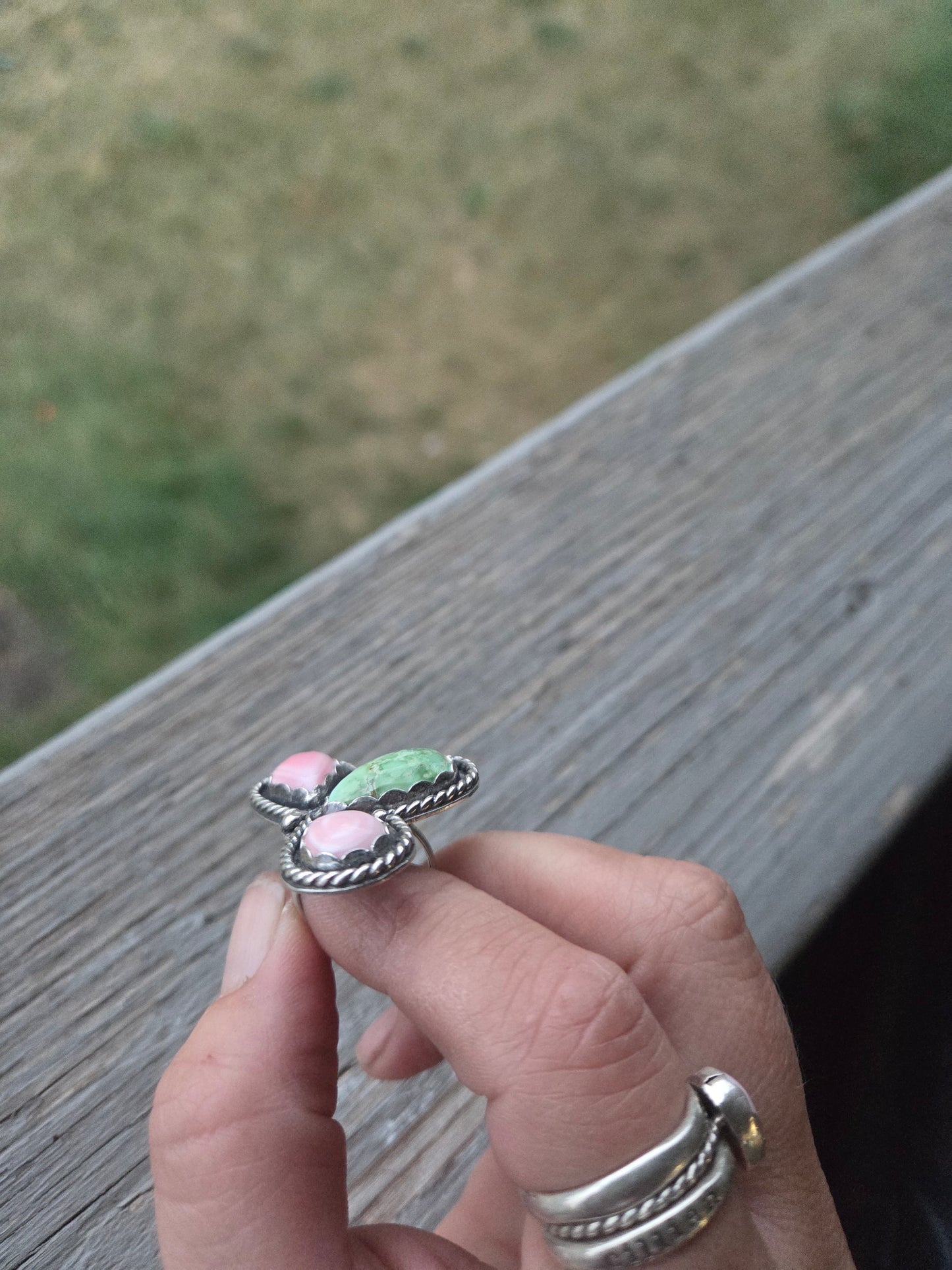 Pink Conch • Sonoran Mountain • Size 6