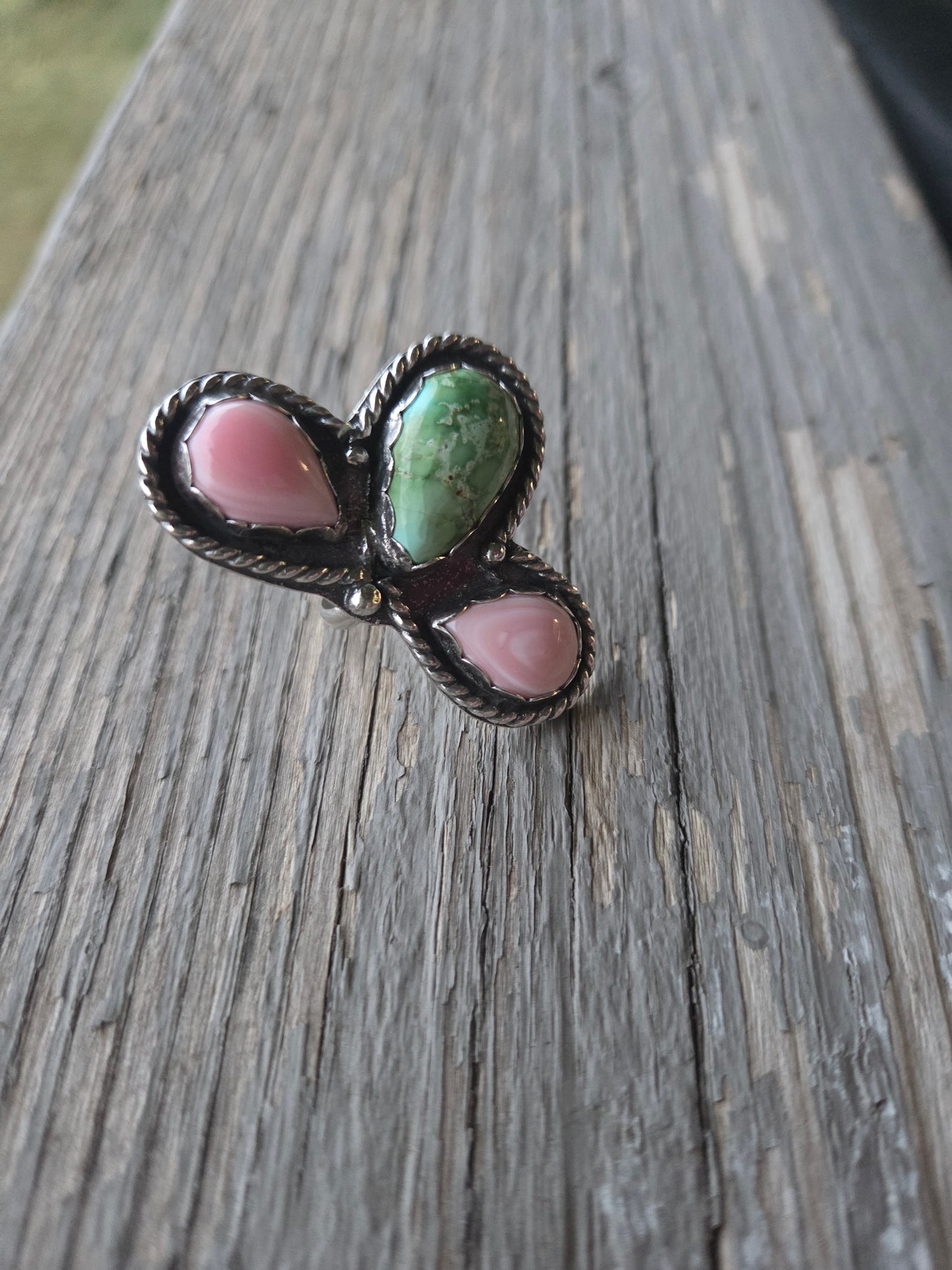 Pink Conch • Sonoran Mountain • Size 6